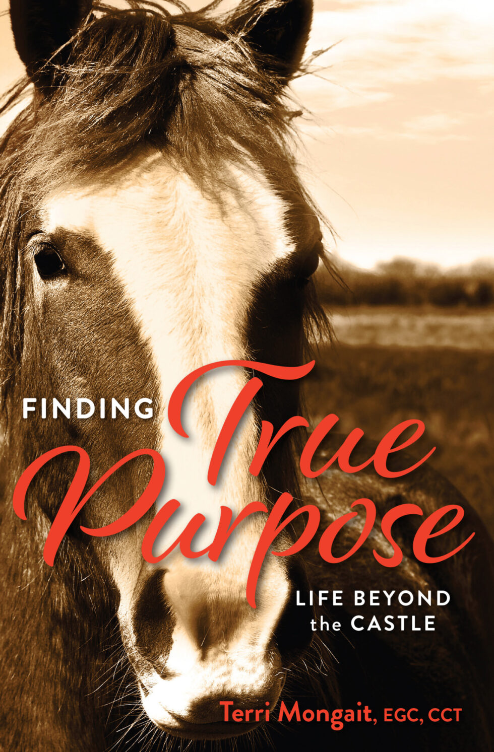 Finding True Purpose
