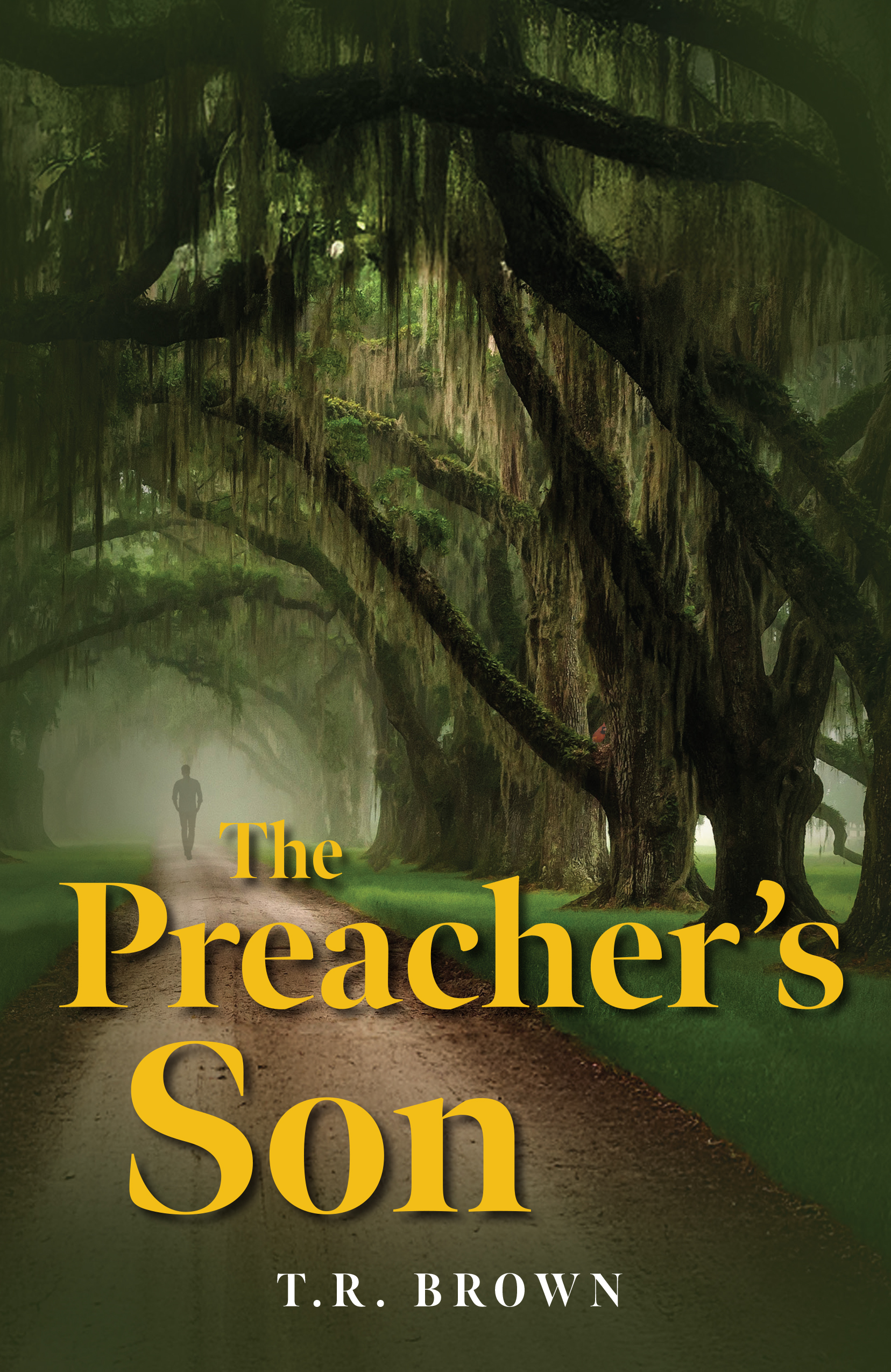 The Preacher's Son by TR Brown